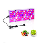 Đèn LED quang phổ đầy đủ 25W 75 đèn LED chiếu sáng cây trồng Fitolampy cho cây, hoa, cây giống, đèn trồng cây LED AC85-265V, US, EU