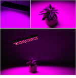 Đèn LED quang phổ đầy đủ 25W 75 đèn LED chiếu sáng cây trồng Fitolampy cho cây, hoa, cây giống, đèn trồng cây LED AC85-265V, US, EU