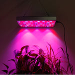 Đèn LED quang phổ đầy đủ 25W 75 đèn LED chiếu sáng cây trồng Fitolampy cho cây, hoa, cây giống, đèn trồng cây LED AC85-265V, US, EU