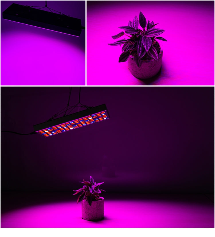 Đèn LED quang phổ đầy đủ 25W 75 đèn LED chiếu sáng cây trồng Fitolampy cho cây, hoa, cây giống, đèn trồng cây LED AC85-265V, US, EU