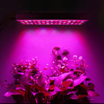 Đèn LED quang phổ đầy đủ 45W 144 đèn LED chiếu sáng cây trồng Fitolampy cho cây, hoa, cây giống, đèn trồng cây LED AC85-265V, US, EU, AU, UK
