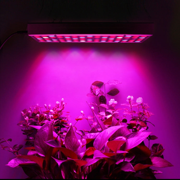 Đèn LED quang phổ đầy đủ 45W 144 đèn LED chiếu sáng cây trồng Fitolampy cho cây, hoa, cây giống, đèn trồng cây LED AC85-265V, US, EU, AU, UK