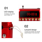 Loa thu sóng FM di động có thể sạc lại, hỗ trợ USB / thẻ TF / máy nghe nhạc MP3