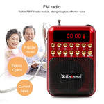 Loa thu sóng FM di động có thể sạc lại, hỗ trợ USB / thẻ TF / máy nghe nhạc MP3