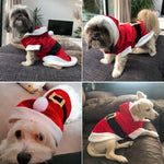 Quần Áo Giáng Sinh Cho Chó Nhỏ Trang Phục Ông Già Noel Áo Khoác Mùa Đông Cho Thú Cưng, L, M, S, XS, XXS