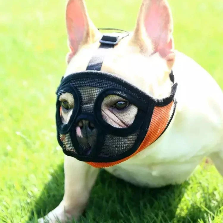 Khẩu trang miệng chó Bulldog Dụng cụ thú cưng, Phiên bản phủ lưới toàn bộ, XXS, XS, S, M, L