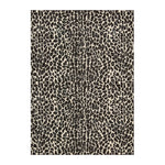 Thảm phòng khách họa tiết báo thời trang, kích thước 40x60cm, 45x75cm, 60x90cm, 40x120cm, 80x120cm, 80x160cm, 100x160cm, 120x160cm, 150x200cm, 160x230cm
