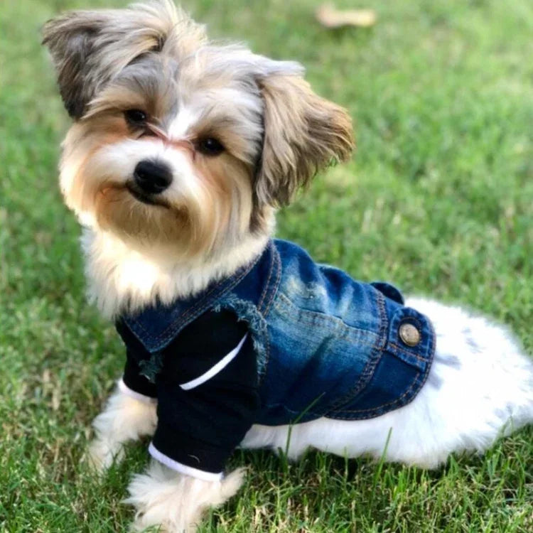 Áo vest denim cá tính cổ điển Quần áo chó thú cưng Áo khoác thú cưng, L, XL, XS, M