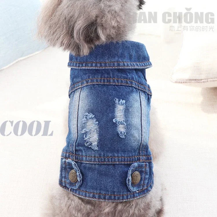 Áo vest denim cá tính cổ điển Quần áo chó thú cưng Áo khoác thú cưng, L, XL, XS, M