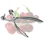 Dụng cụ lấy hạt trái cây bằng thép không gỉ, dụng cụ lấy hạt cherry