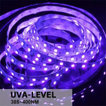 Đèn LED dây UV tím SMD 2835, đèn trang trí, chống nước 5m, chống nước 10m, bản mạch trần 5m, bản mạch trần 10m