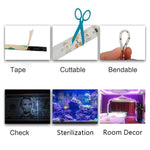 Đèn LED dây UV tím SMD 2835, đèn trang trí, chống nước 5m, chống nước 10m, bản mạch trần 5m, bản mạch trần 10m