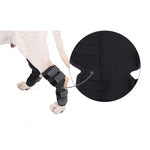 DogLemi PD60041 Bó Gối Chó Hỗ Trợ Chân Sau Bó Nén Khớp Chân Chó Bảo Vệ Vết Thương Và Chấn Thương, S, M, L, XL