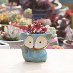 Ceramic Fleshy Flower Pot Succulent Thumb Pot Fox Flower Pot, Random Color Delivery (Without Plants), Fox Flower Pot