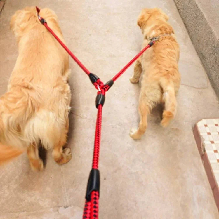 Dây dắt chó đôi chống rối, Dây kéo thú cưng, 1.4m