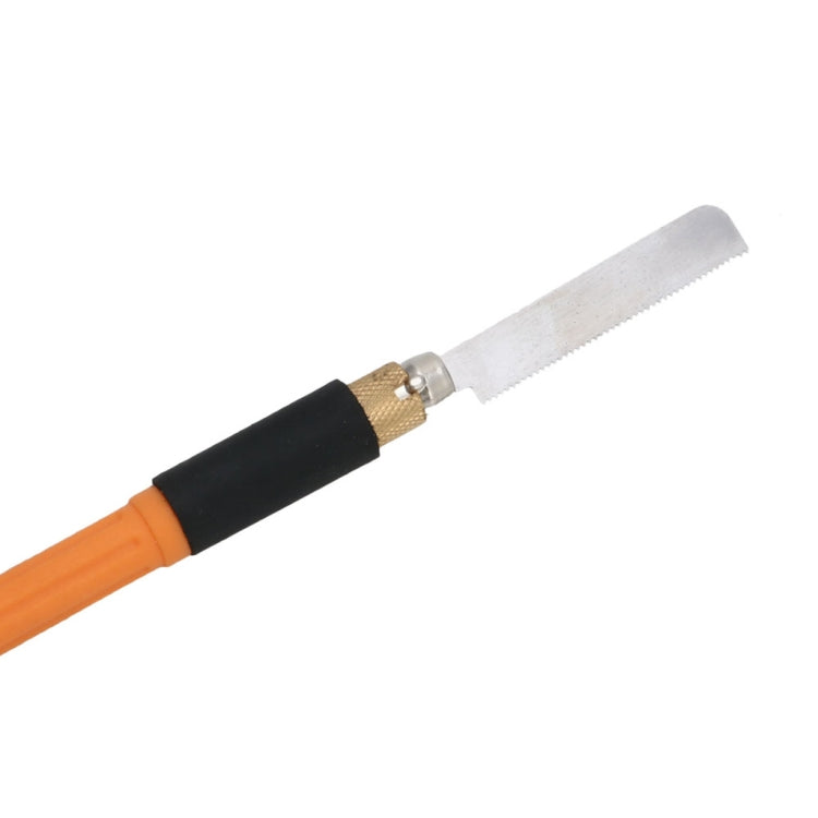 Ảnh thay thế