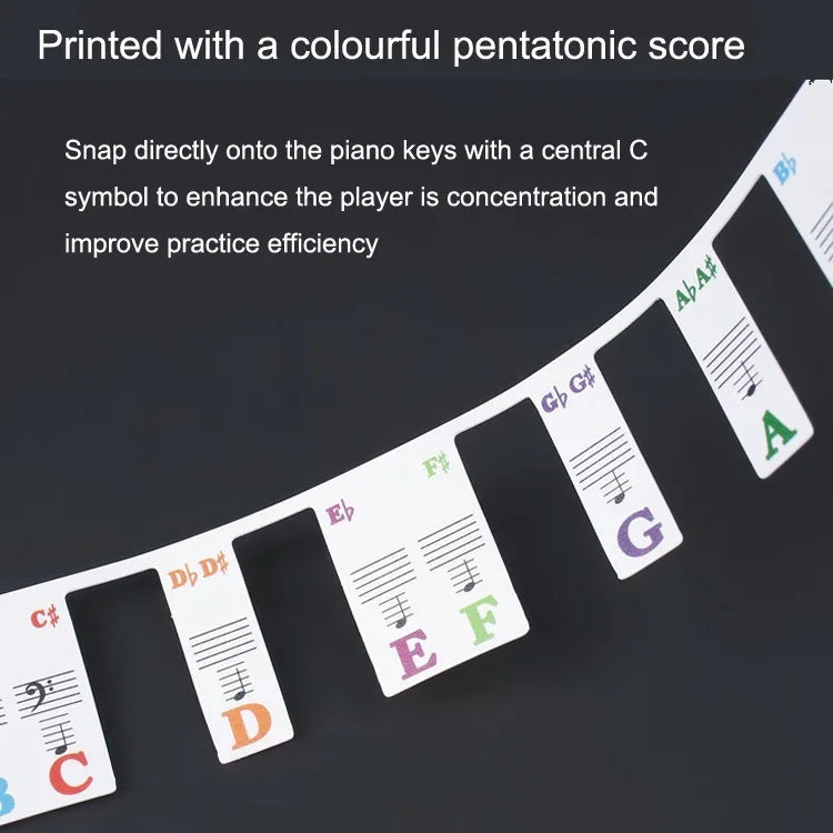Sticker Màu Bàn Phím Piano Cho Trẻ Em Mới Bắt Đầu, Mô Phỏng Phím Piano 61 Phím, Phím Piano 61 phím