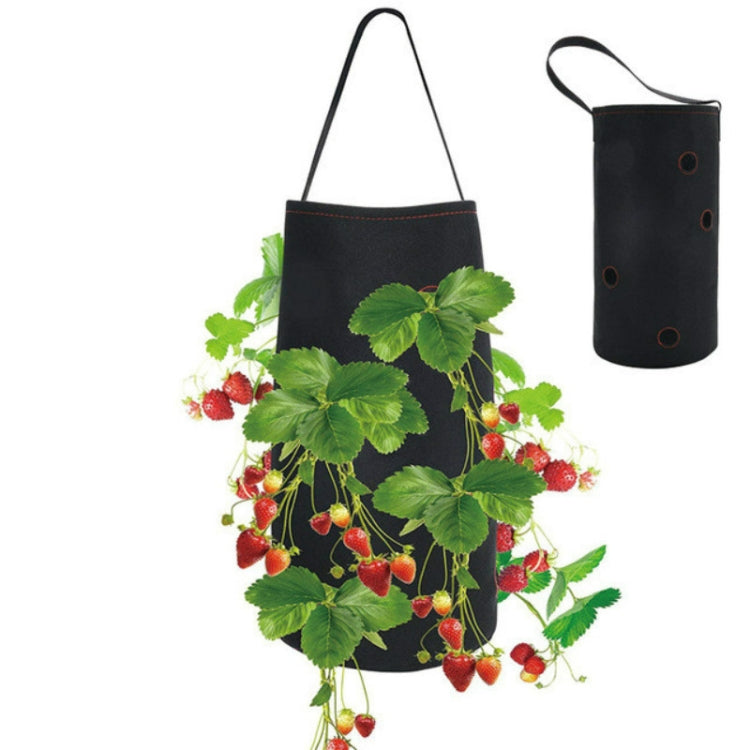Túi Trồng Cây Dâu Tây Gốc Trần Treo Bằng Vải Nỉ Không Dệt, 50 x 30 x 25 cm