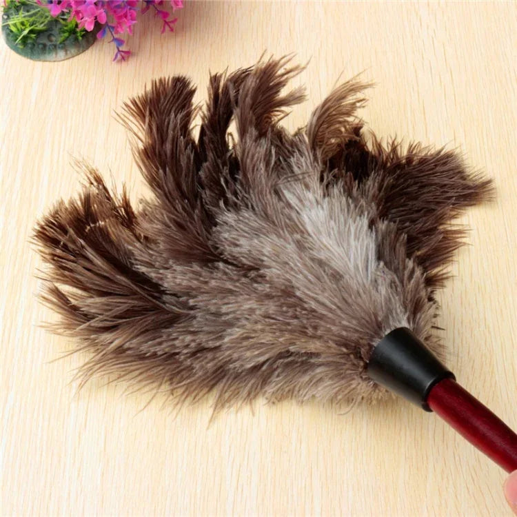 Chổi Quét Bụi Lông Vũ Tay Cầm Gỗ Chống Tĩnh Điện Dùng Trong Nhà Và Xe Hơi, Dụng Cụ Thu Bụi