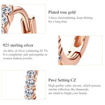 S925 Sterling Silver Jewelry Earrings Inlaid Zircon Earrings