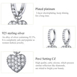 Bông tai hình trái tim Bông tai đá Zircon Bạc sterling S925 Bông tai đinh, SCE821