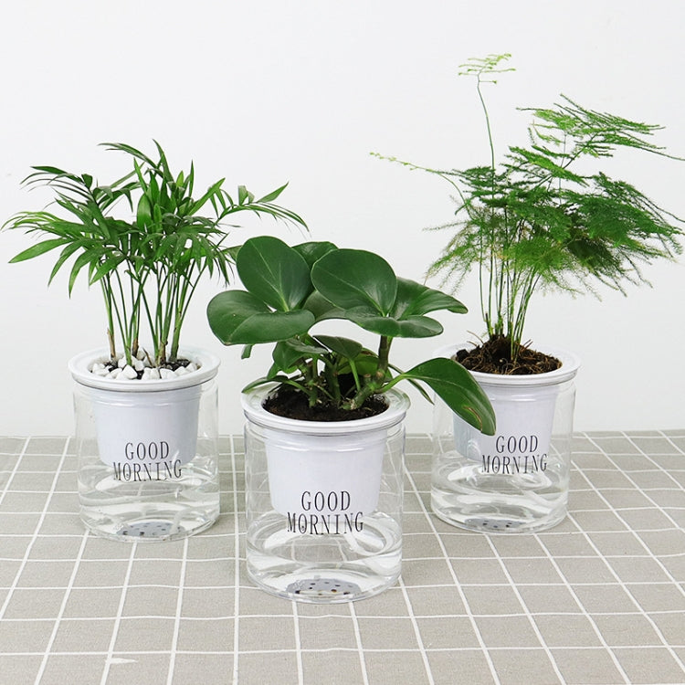 Automatic Water Absorption Hydroponic Pot Succulent Plant Flower Pot, Transparent With Words