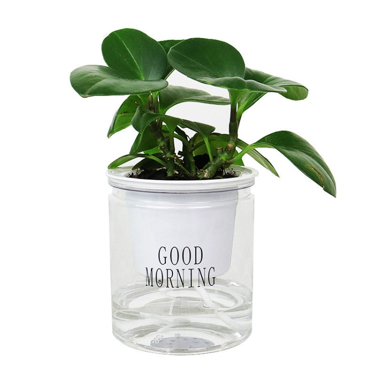 Chậu cây mọng nước thủy canh tự hút nước, trong suốt có chữ