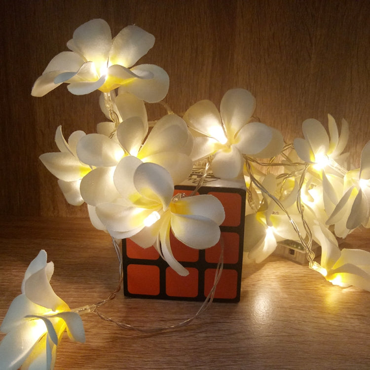Dây Đèn LED 10 Đèn 1.5m Dùng Pin Màu Trắng Ấm Sáng Tạo DIY Hoa Sứ Trang Trí Tiệc Sự Kiện Phòng Ngủ