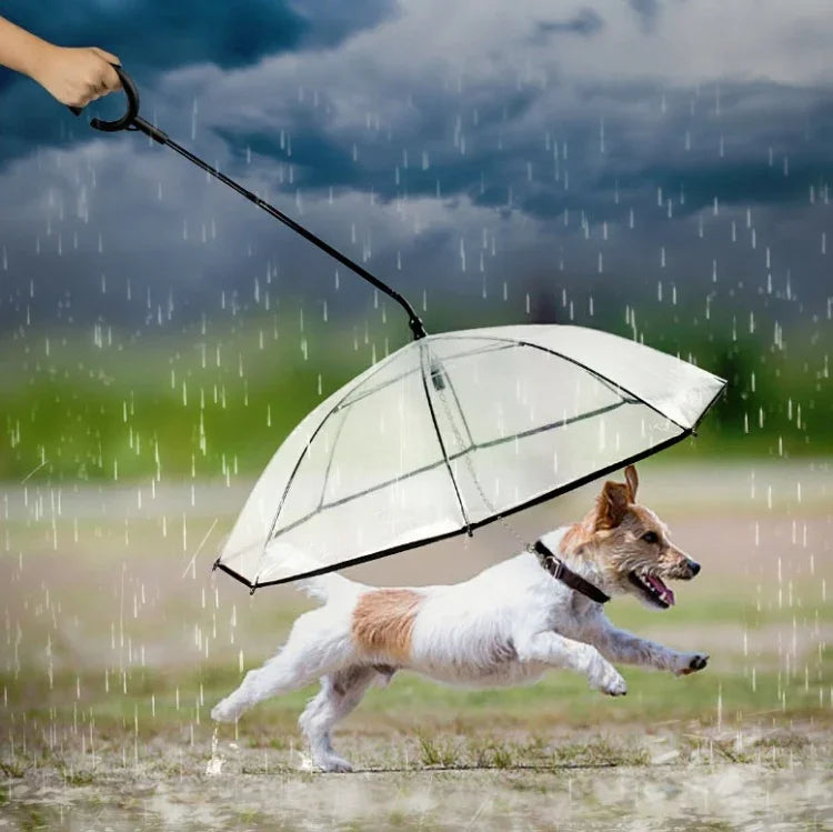 Dây Dẫn Chó Đi Bộ Mưa Trong Suốt Có Thể Điều Chỉnh Dù Thú Cưng, Dù Thú Cưng