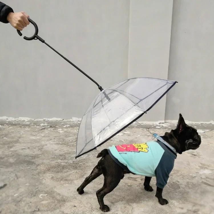 Dây Dẫn Chó Đi Bộ Mưa Trong Suốt Có Thể Điều Chỉnh Dù Thú Cưng, Dù Thú Cưng
