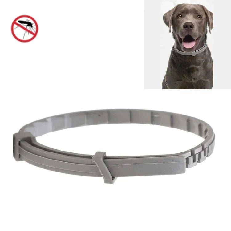 Vòng cổ chống bọ chét & ve cho thú cưng, vòng đeo chống côn trùng in vitro, chó nhỏ/38cm, chó lớn/70cm