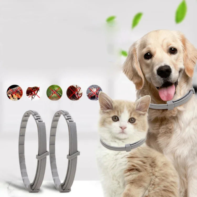 Vòng cổ chống bọ chét & ve cho thú cưng, vòng đeo chống côn trùng in vitro, chó nhỏ/38cm, chó lớn/70cm