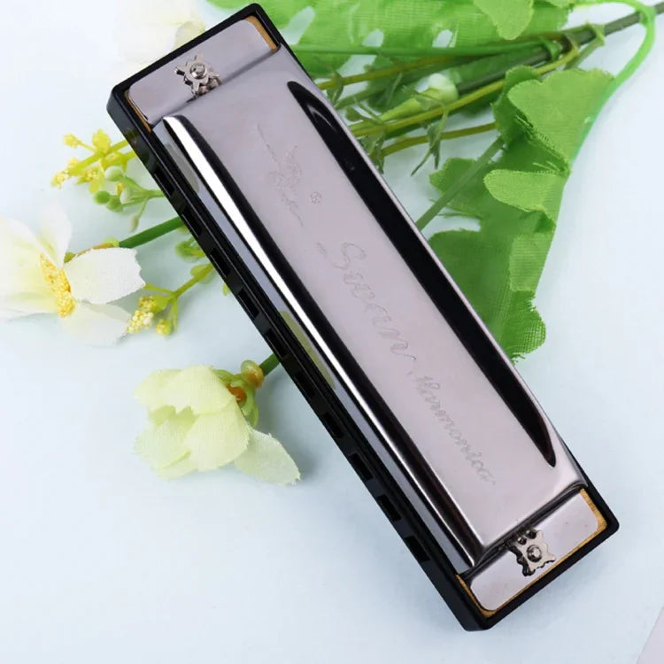 Bộ 2 harmonica Swan 10 lỗ Bruce toàn bộ dành cho người mới bắt đầu, trẻ em, người lớn, học sinh chơi nhạc cụ, Swan harmonica 10 lỗ Bruce