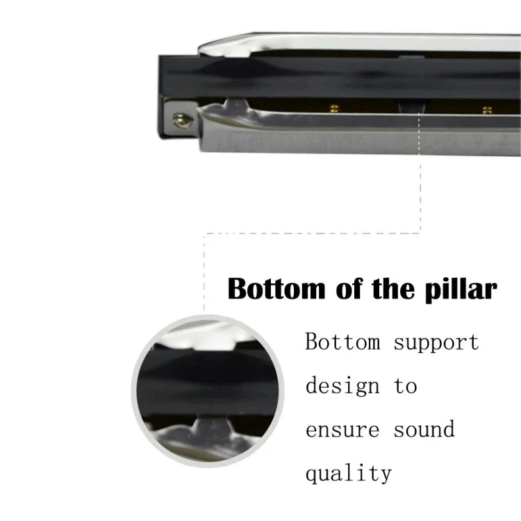 Bộ 2 harmonica Swan 10 lỗ Bruce toàn bộ dành cho người mới bắt đầu, trẻ em, người lớn, học sinh chơi nhạc cụ, Swan harmonica 10 lỗ Bruce
