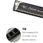 Bộ 2 harmonica Swan 10 lỗ Bruce toàn bộ dành cho người mới bắt đầu, trẻ em, người lớn, học sinh chơi nhạc cụ, Swan harmonica 10 lỗ Bruce