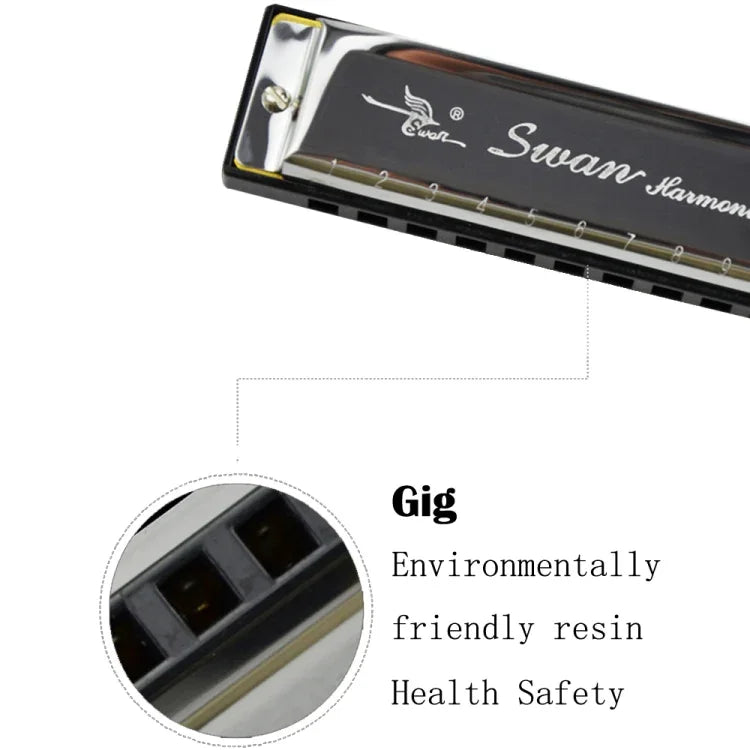 Bộ 2 harmonica Swan 10 lỗ Bruce toàn bộ dành cho người mới bắt đầu, trẻ em, người lớn, học sinh chơi nhạc cụ, Swan harmonica 10 lỗ Bruce