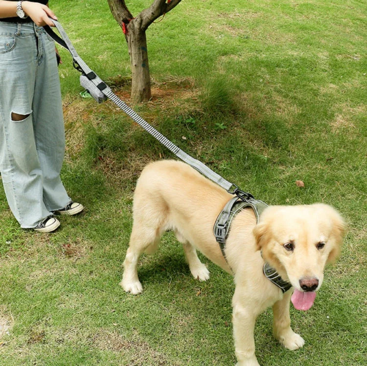 Dây kéo chó ngoài trời chống rối, Dây dắt chó bằng nylon phản quang co giãn đàn hồi, Màu vàng co giãn, Màu xanh co giãn