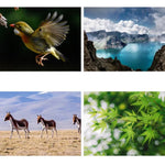 Kính thiên văn ống đơn nhỏ cho trẻ em, công suất cao, độ phân giải cao, đồ chơi giáo dục khoa học, kính thiên văn