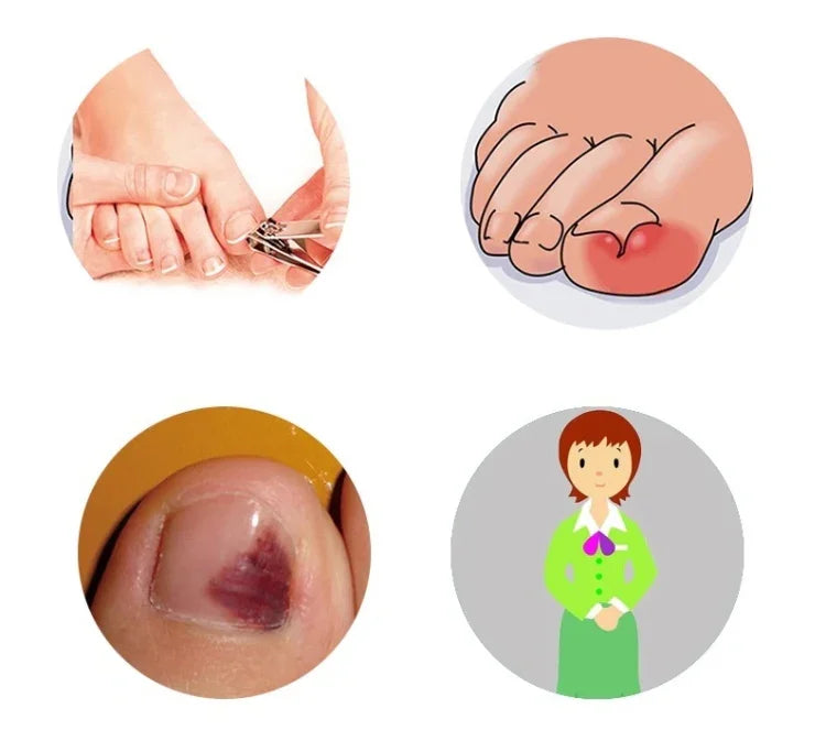 نص بديل للصورة