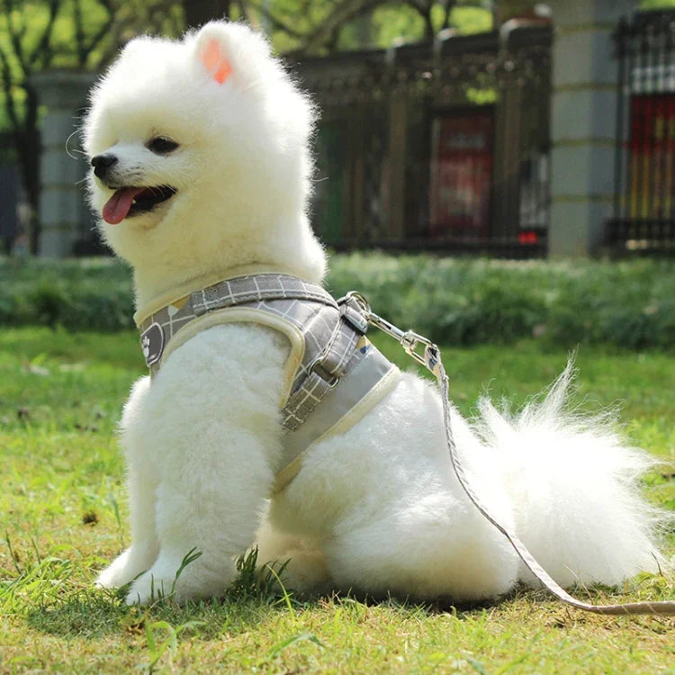 Áo yếm phản quang và thoáng khí, Dây kéo ngực thú cưng, XS, S, M, XL