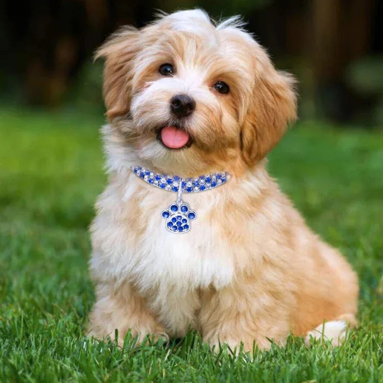 Vòng Cổ Thú Cưng Đính Kim Cương Co Giãn Cho Mèo Và Chó, S, M, L