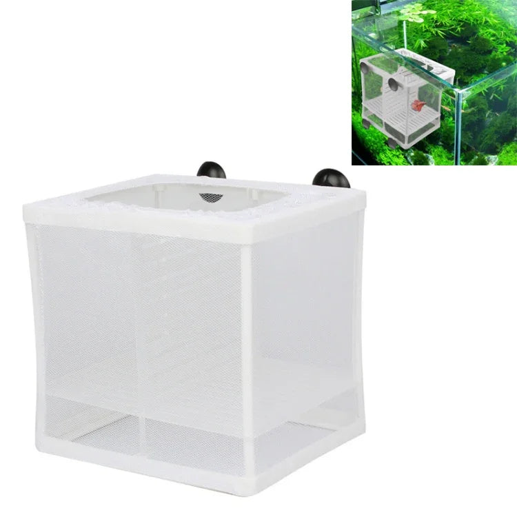 Hộp nuôi cá nhỏ có vách ngăn cách ly cá nhiệt đới, Có vách ngăn