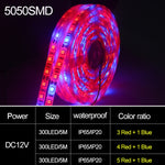 5m 300 LEDs SMD 5050 Full Spectrum LED Strip Light Fitolampy Grow Lights for Greenhouse Hydroponic Plant, Waterproof