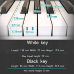 Đàn Piano Điện Tử Gập Gọn 88 Phím Wersi Cho Người Mới Tập Luyện, Phích Cắm CN, USB Màu Trắng, USB Màu Đen