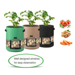 Túi trồng cây khoai tây trong suốt có nắp giữa, xoay 360 độ, lớn (35x45cm) 43 lít/10 gallon, trung bình (30x35cm) 26 lít/7 gallon