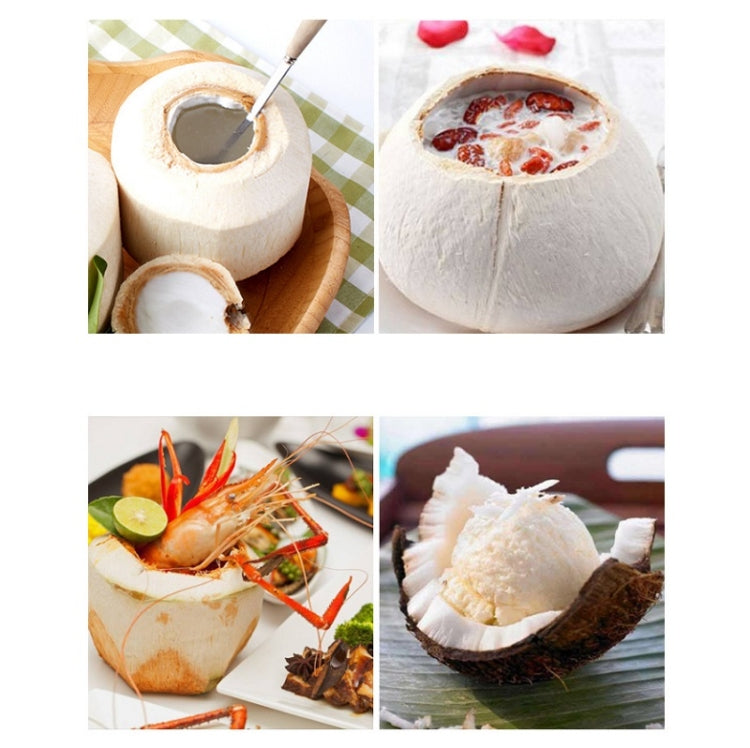 Bộ dụng cụ mở dừa bằng thép không gỉ 304, dụng cụ cạo vỏ dừa, 2 trong 1