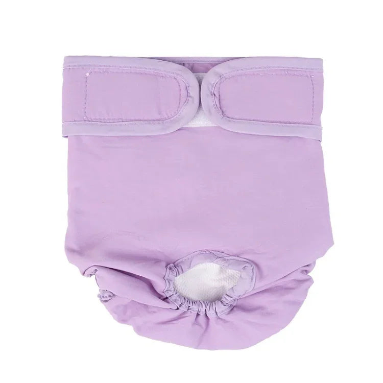 Quần sinh lý cho thú cưng, quần lót chống thấm nước, XS, S, M, L, XL