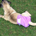 Quần sinh lý cho thú cưng, quần lót chống thấm nước, XS, S, M, L, XL