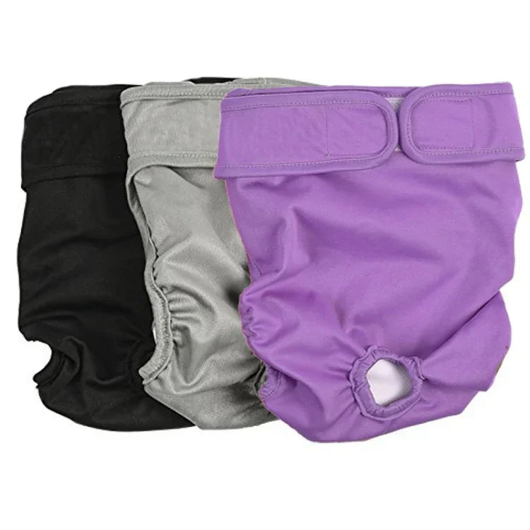 Quần sinh lý cho thú cưng, quần lót chống thấm nước, XS, S, M, L, XL