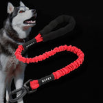 Dây kéo chó HCPET, Dây đàn hồi cao chống nổ cho thú cưng, 75cm, 120cm